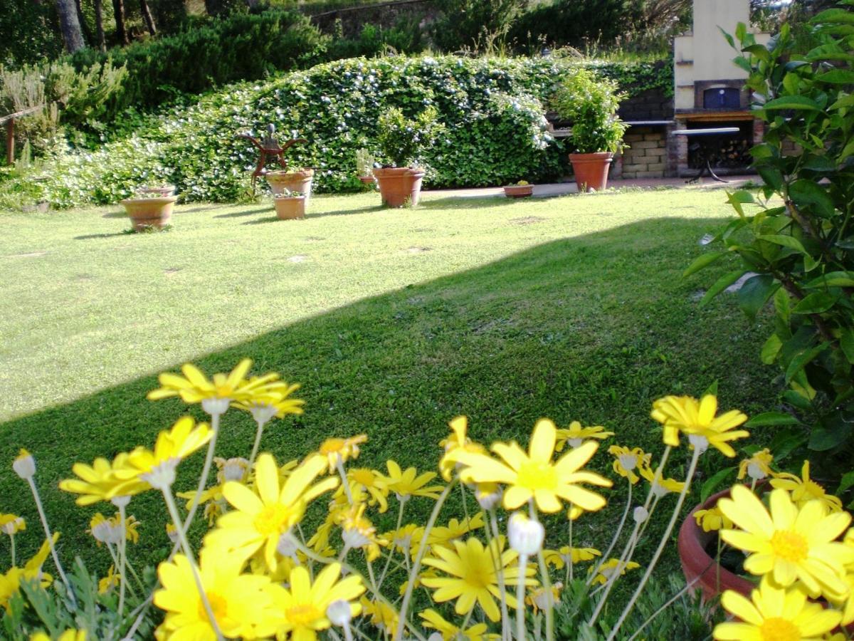 Agriturismo Santa Barbara サン・ミニアート エクステリア 写真